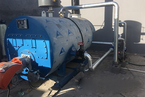 [宁夏中卫]阜康生物科技股份有限公司0.7MW热水锅炉