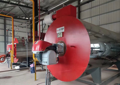 燃气导热油炉案例