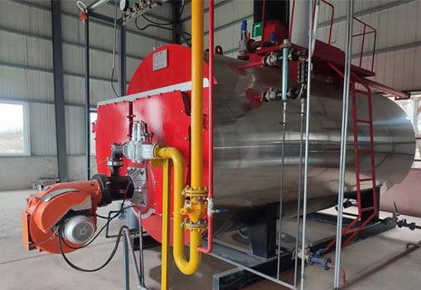 燃气蒸汽锅炉案例